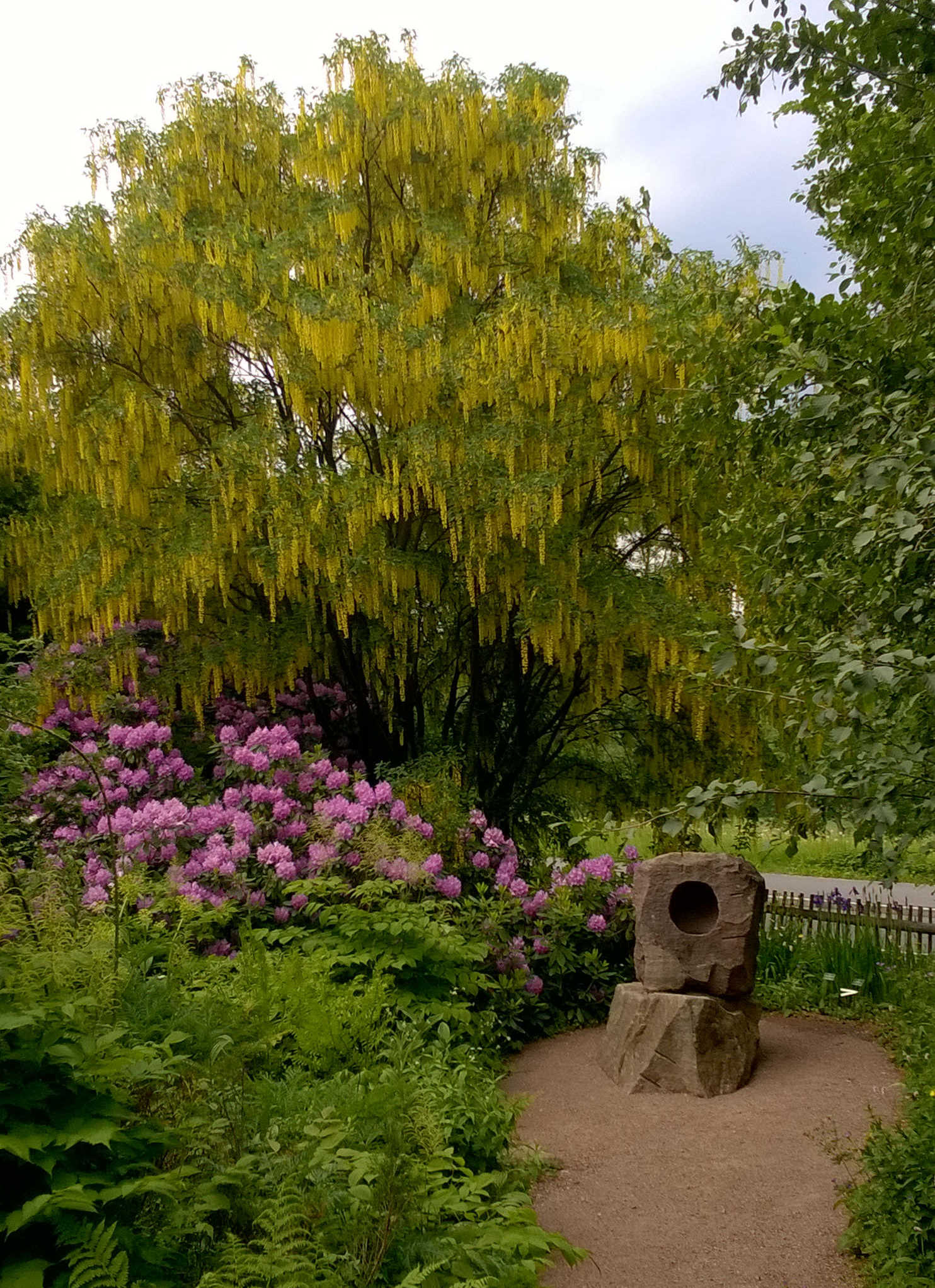 Summstein_ 1 Förderverein für die Natur des Osterzgebirges e. V.