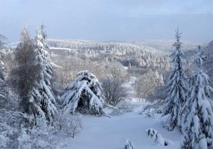 Winter im Osterzgebirge